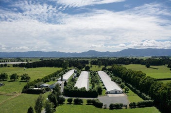 Free Range Chicken Farm Matamata