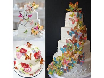 Listing 1 of 9 for Cake Decorating Tools Supplies