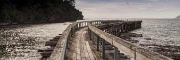 Listing 2 of 3 for Rokit wall Art. Hicks Bay Wharf East Cape. Extra Large Print