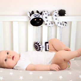 Listing 4 of 7 for Baby Toys Spiral Plush, Black and White Car Seat Toys Stroller Toys Spiral