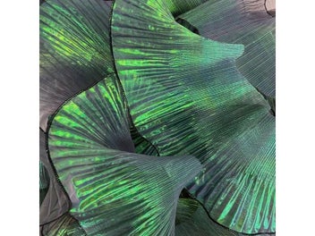 Listing 6 of 10 for Pleated Lace Ribbon 13cm Wide 2m For Dress Handicraft Sewing