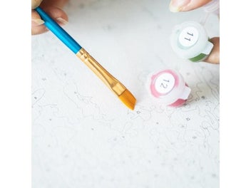 Listing 4 of 10 for Paint By Numbers Kit