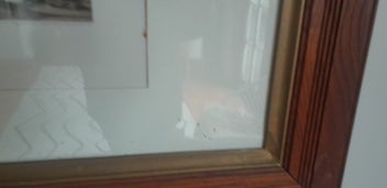 Listing 10 of 14 for Large Antique Oak Framed Picture