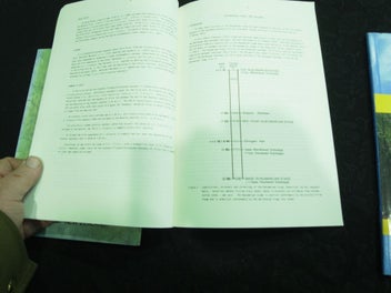 Listing 4 of 5 for The Pliocene/Pleistocene Boundary And The Nukumaruan Stage, New Zealand DSIR