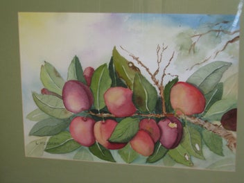 Listing 13 of 19 for L Huggard - Plums On The Tree - A very good original watercolour painting