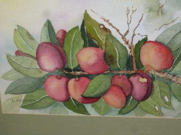 Listing 11 of 19 for L Huggard - Plums On The Tree - A very good original watercolour painting