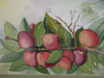 Listing 12 of 19 for L Huggard - Plums On The Tree - A very good original watercolour painting