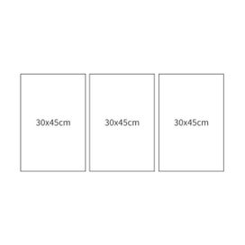 Listing 2 of 5 for 3 Pieces Canvas Wall Art Picture Prints Painting Wall Decoration No Frame,12x18"