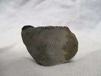 Listing 5 of 5 for *Wade Pottery Whimsie / Wade Whimsies Figurine - Beaver... Lot JG - 0065