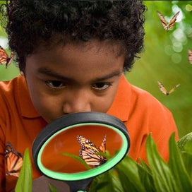 Listing 2 of 5 for 2 Pack 10x75mm Toddler Magnifying Glass with Handle - For Reading, Working Close