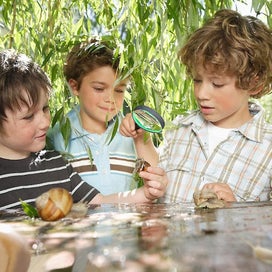 Listing 4 of 5 for 2 Pack 10x75mm Toddler Magnifying Glass with Handle - For Reading, Working Close