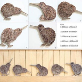 Listing 2 of 2 for Kiwi Bird Wall Set