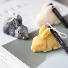 Listing 5 of 8 for 3D Rabbit Modeling Silicone Mold Diy Aromatherapy Fondant Cake Decoration CHK12N