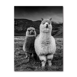 Listing 7 of 13 for Retro Photo Home Decoration City Landscape Figure Street Alpaca Skyscrape CHK12N
