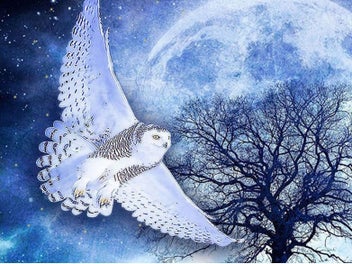 Listing 4 of 19 for HUACAN 5d Diy Diamond Painting Owl Animal Diamond Art Full Drill Embroide CHK12N