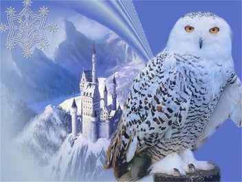 Listing 5 of 19 for HUACAN 5d Diy Diamond Painting Owl Animal Diamond Art Full Drill Embroide CHK12N