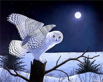 Listing 7 of 19 for HUACAN 5d Diy Diamond Painting Owl Animal Diamond Art Full Drill Embroide CHK12N