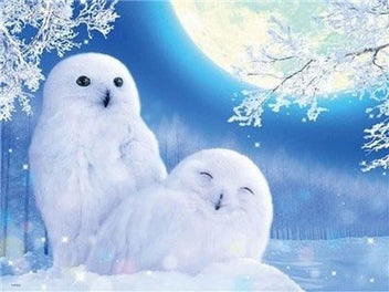 Listing 9 of 19 for HUACAN 5d Diy Diamond Painting Owl Animal Diamond Art Full Drill Embroide CHK12N