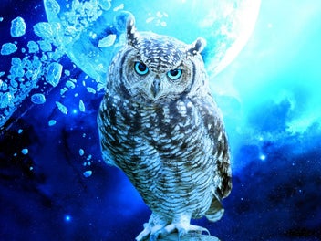 Listing 19 of 19 for HUACAN 5d Diy Diamond Painting Owl Animal Diamond Art Full Drill Embroide CHK12N