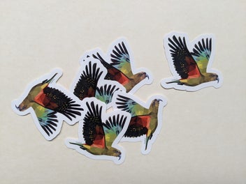Listing 6 of 7 for New Zealand stickers set, Kiwi sticker set, New Zealand bird stickers, Set of 6