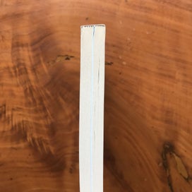 Listing 9 of 9 for ODYSSEY OF THE UNKNOWN ANZAC by David Hastings