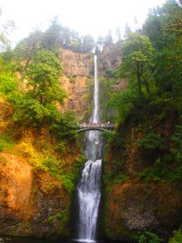 Listing 3 of 3 for ULTIQA, RCI and I.C.E Lifestyle membership