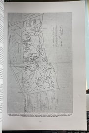 Listing 4 of 6 for The Pioneers Settlers and Families of Katikati and District by Christine Clement