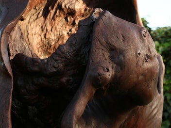 Listing 4 of 14 for Huge Garden Sculpture Driftwood Art Gumtree sculpted by Fire