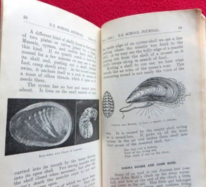 Listing 8 of 17 for *^* 1920s NZ School Journals, 10 bound into a booklet