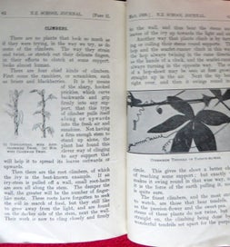 Listing 14 of 17 for *^* 1920s NZ School Journals, 10 bound into a booklet
