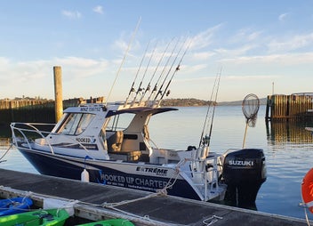 Auckland Fishing Charter