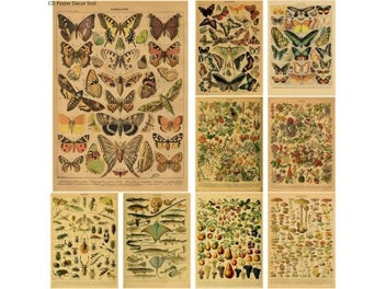 Listing 3 of 10 for Butterfly Insect Flower Mushroom Poster Botanical Educational Kraft Paper DIY