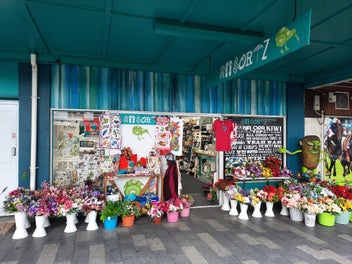 Kiwiana and Variety Store