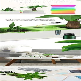 Listing 4 of 5 for Multifunction Desktop Plant Pot Air Purifier Cleaner Humidifier Succulent Contai