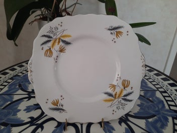 Listing 1 of 1 for Colclough Bone China Stardust Plate