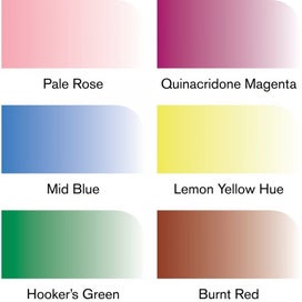 Listing 2 of 5 for Winsor & Newton Promarker Watercolour 6 Floral Tones Set, Paint Markers