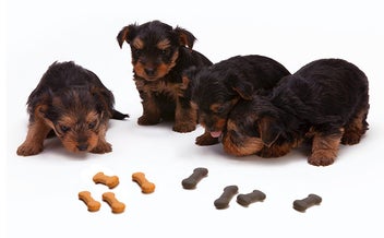 Listing 2 of 12 for Puppy Dog Paw and Bone Silicone Molds,Non-Stick Food Grade Silicone Molds for Ch