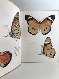 Listing 11 of 12 for BUTTERFLIES OF NEW ZEALAND by W.B.R. Laidlaw 1970 1st edition