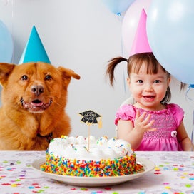 Listing 2 of 5 for 1 Set 12pcs Graduation Party Decorations Doctoral Pattern Cake Toppers Picks