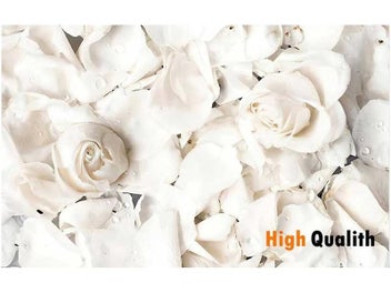 Listing 7 of 10 for Islamic Beige Poster Landscape Canvas Print For Mosque Morocco Door/wall Art