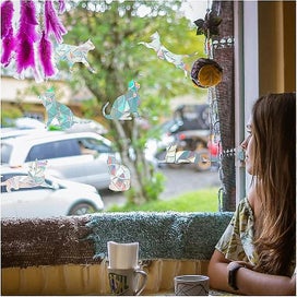 Listing 5 of 5 for 9 Cat Window Stickers Static Rainbow Glass Stickers Warning Birds Window St