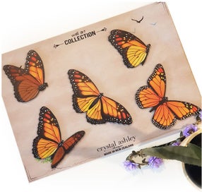 Listing 2 of 3 for Monarch Butterfly Wall Set