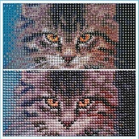 Listing 4 of 5 for Diamond Painting Cat 5d Diamond Painting Diamond Painting Cat Diamond Paint