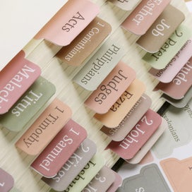 Listing 9 of 20 for Bible Book Repostion Bible Index Tabs *Local Buy*