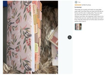 Listing 10 of 20 for Bible Book Repostion Bible Index Tabs *Local Buy*