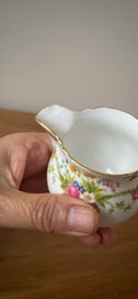 Listing 11 of 11 for Gorgeous Shelley 13395 Dubarry fine bone china sugar bowl and milk/creamer jug
