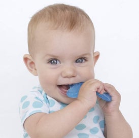 Listing 4 of 4 for Blue Silicone Teether With Bristles Includes Hygienic Case Safe And Soothing T