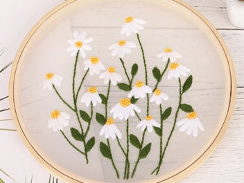 Listing 1 of 3 for 2X Style 1+2 DIY Plants Pattern Transparent Embroidery Kit Beginner Craft Set