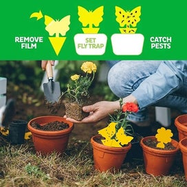 Listing 5 of 5 for Yellow Stickers Combat Indoor Plants Yellow Boards Yellow Trap Fly Trap Adhesiv