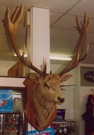 Listing 7 of 10 for Tales Of A Storyteller - Take A Stroll Through 20th Century New Zealand